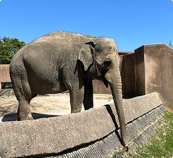 動物園